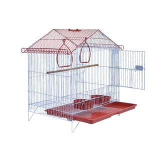 Fancy Hut Domestic Cage | Regular Cage | Foldable Cage ( ریگولر کیج کوٹھی)