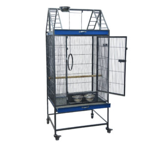 Fancy Tame | Jumbo 2.5ft | cage