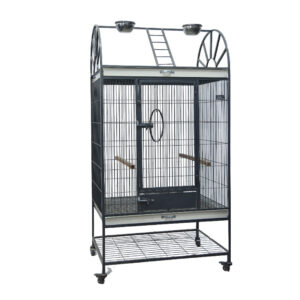Fancy Tame | Super 3ft | cage