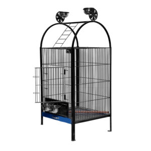 Fancy Tame | Baby | cages